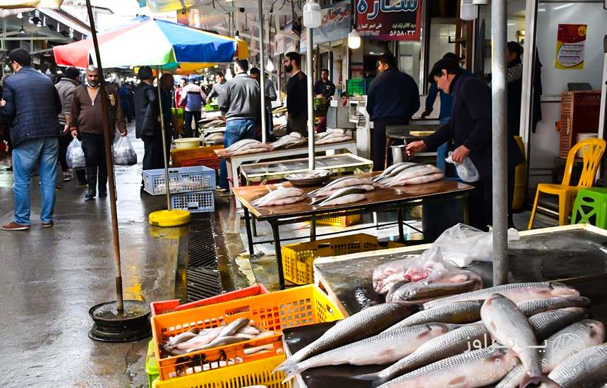 Sari fish market
